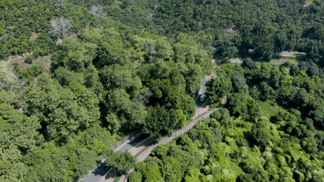 不离深,深圳高颜值绿道推荐一日游正好