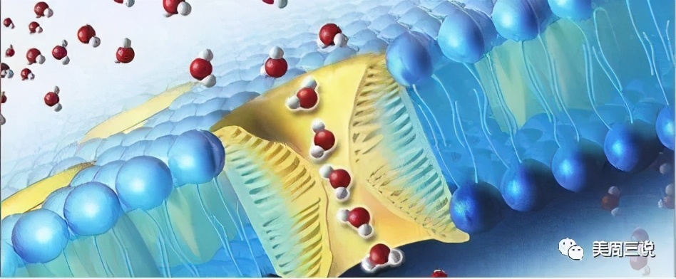 黛昂丝呼吸霜多少钱一瓶,黛昂丝呼吸霜的功效