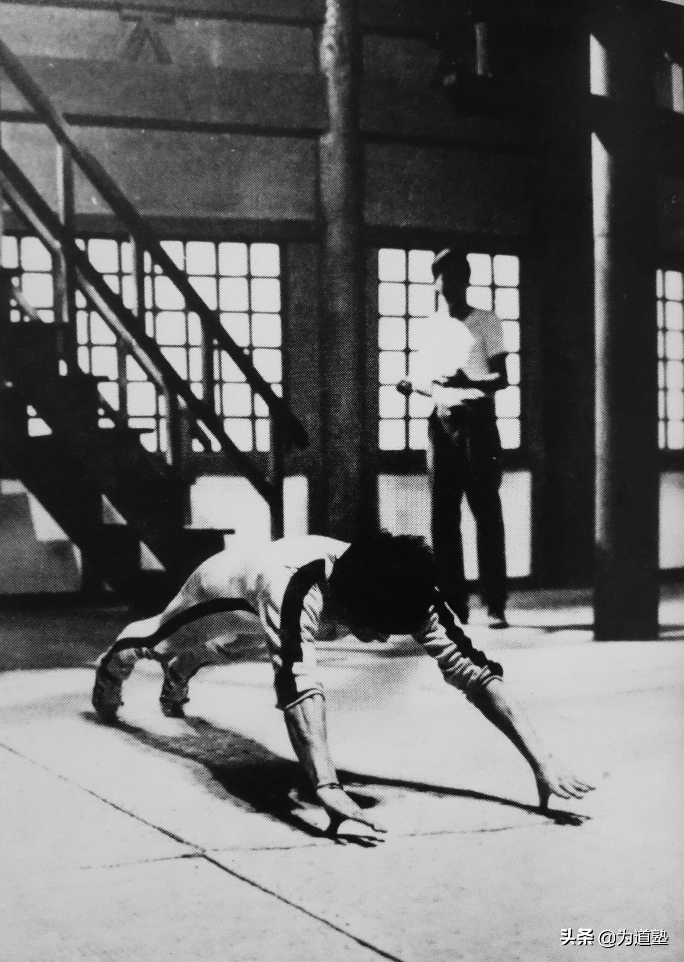 格斗界举足轻重的人物评价李小龙,史泰龙回忆李小龙的功夫有多厉害