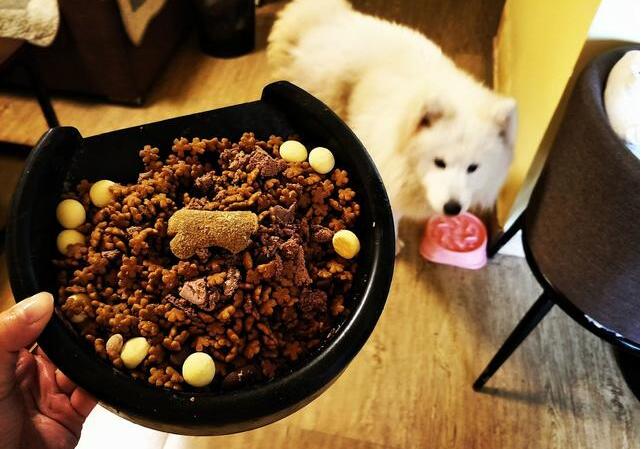 萨摩耶泪痕有效去除,萨摩耶犬泪痕咋治