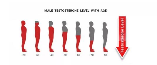 人到中年代谢慢有什么办法,减脂如何平衡激素