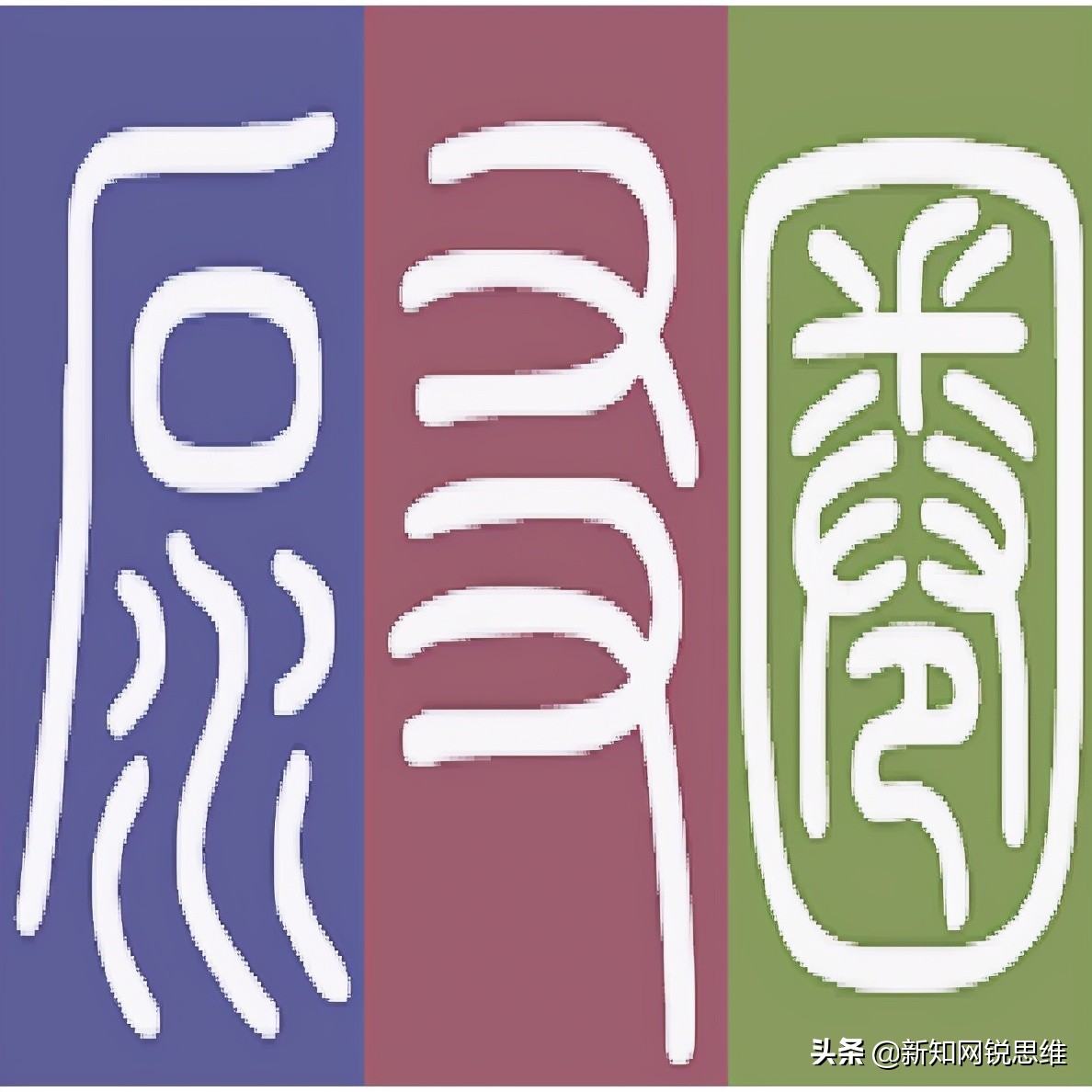 泵友圈专访|威乐中国销售副总经理陈华俊