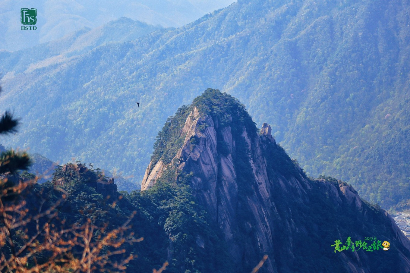 值得去的世界地质公园,张家界世界地质公园门票