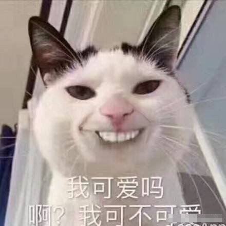 撩男朋友坏坏表情包一套自取,撩男生很甜很撩表情包