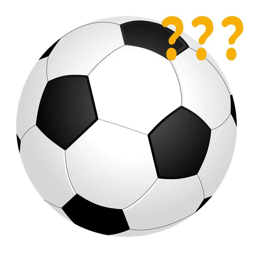 全球罕见足球猫冲上热搜，网友：指定染色！结果......哈哈哈哈