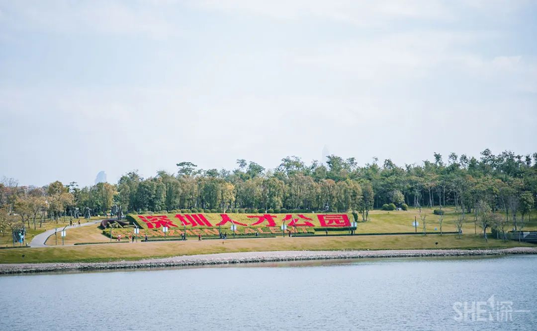 深圳千园之城计划,深圳千园之城风景