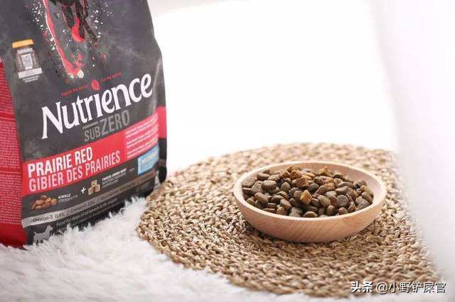 你们的狗狗吃什么狗粮,你们家狗吃什么狗粮