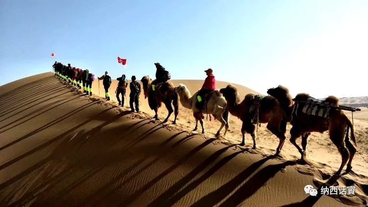 叶紫被雷劈穿越到异界,关于叶紫的穿越小说