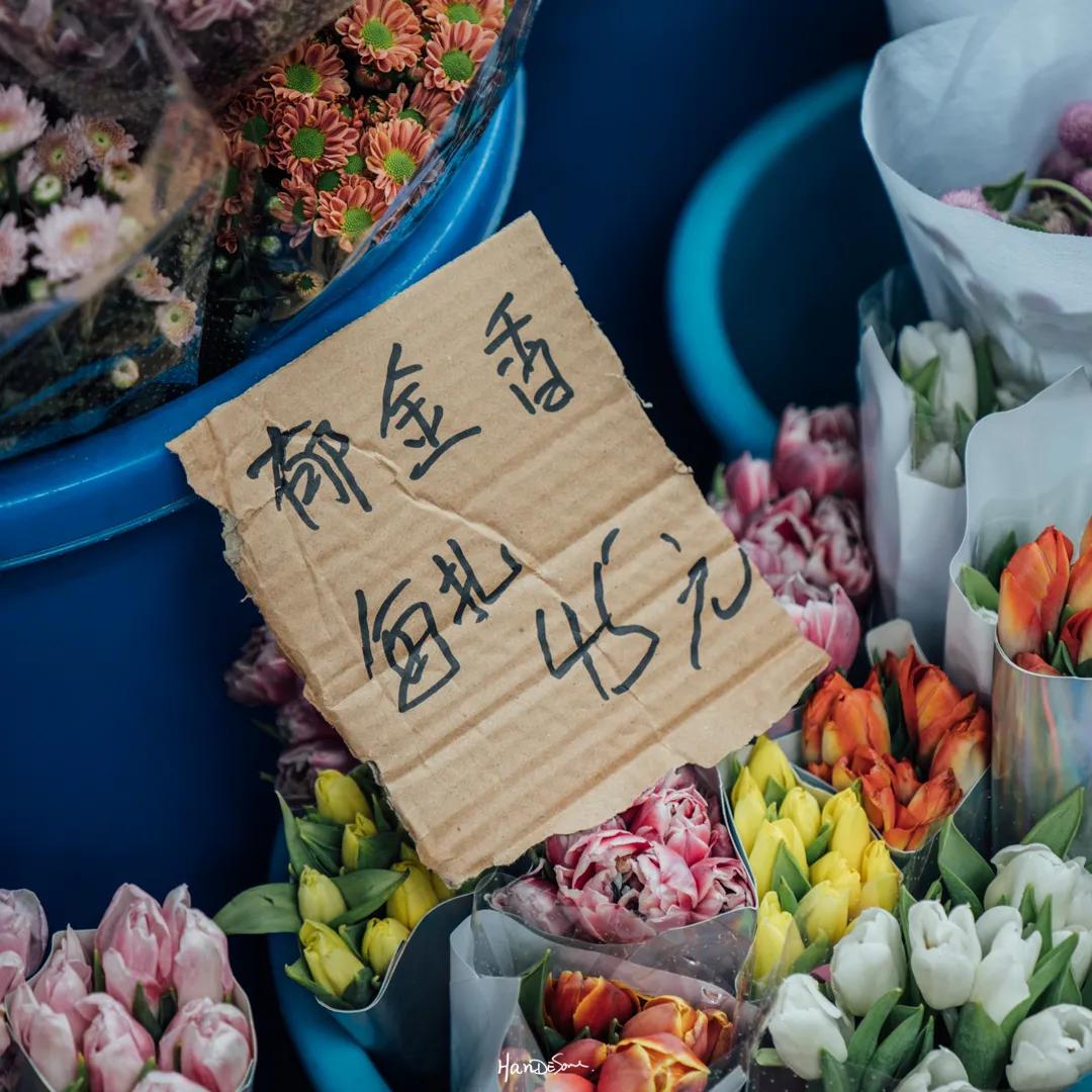 武汉地铁循礼门鲜花花市,武汉循礼门花市蓝色玫瑰