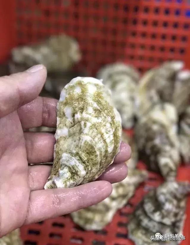 水煮贝壳类海鲜煮多久,海边海鲜用什么水煮好吃