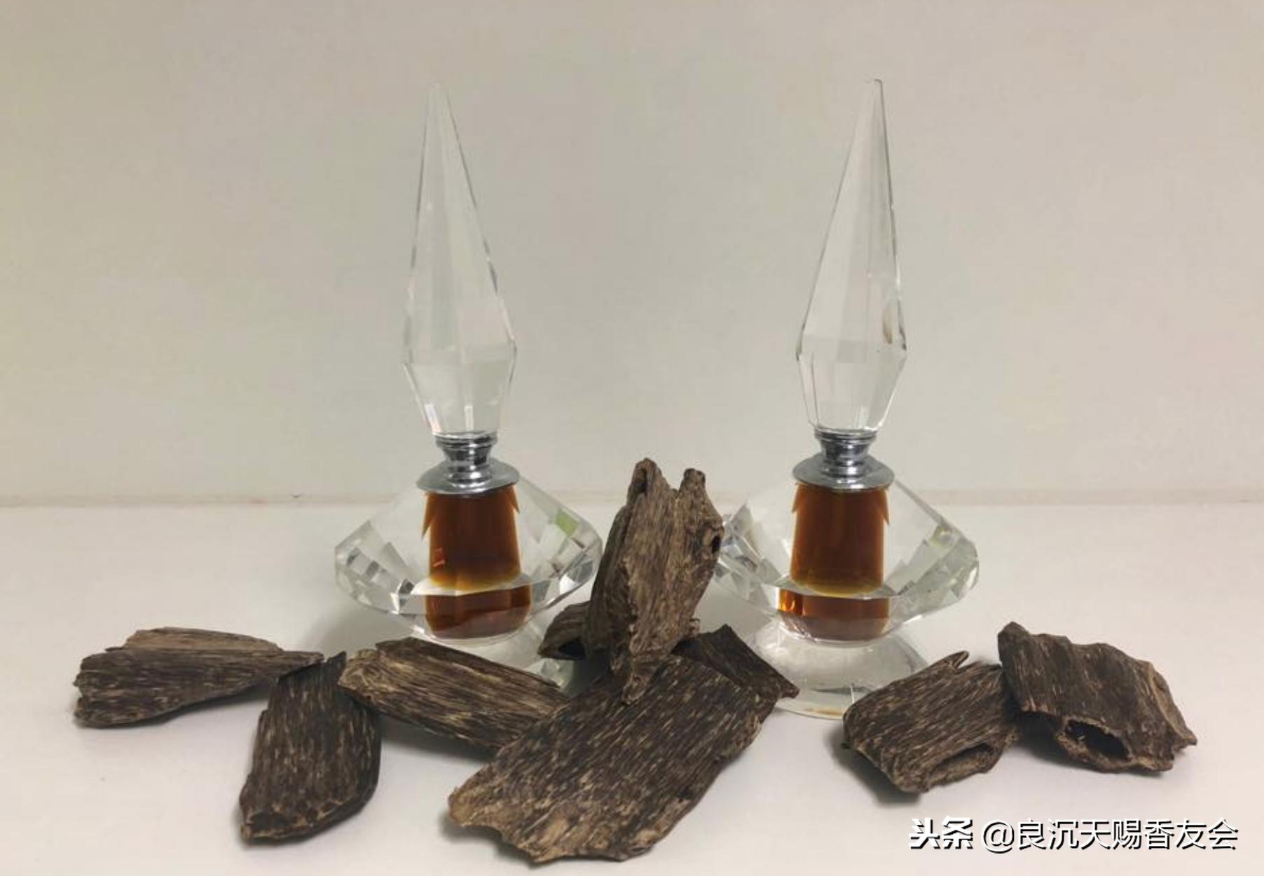 全球珍贵沉香木有哪些,购买真正的沉香