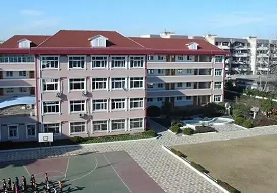 “小牛娃们终于上岸了，上海16所小学名校真题汇总出炉啦！