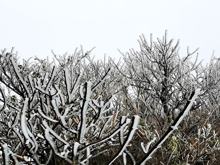 雨中的梵净山景色,烟雨梵净山