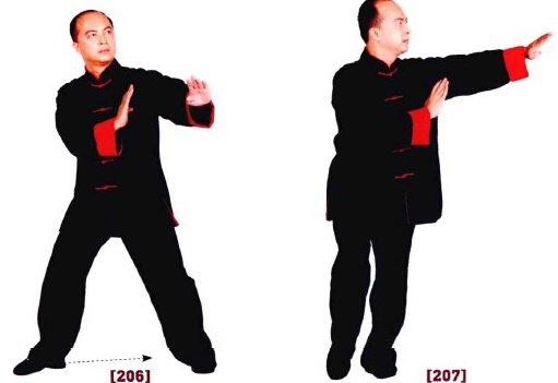 咏春拳入门十二散手,咏春拳标指教学视频