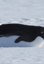 这一定是个好姑娘，新郎你有福了，羡慕啊羡慕