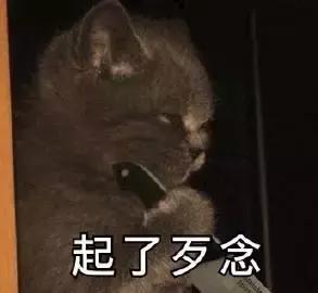 万万没想到！三“绑匪”网约来南宁干一票，结果还没下手就被一锅端……