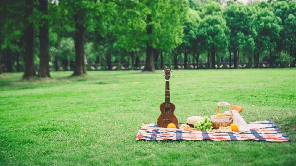 人少还免门票！深圳这片5000000㎡新公园美翻了，“神仙花谷”
