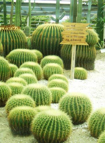 福建省漳州旅游景点大全,福建省漳州市风景区旅游景点介绍