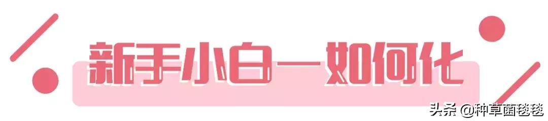 日常正确化妆顺序新手化妆顺序,化妆新手学化妆