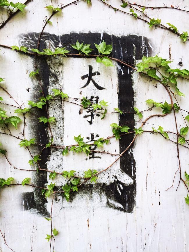 足球巡礼之南非,足球巡礼