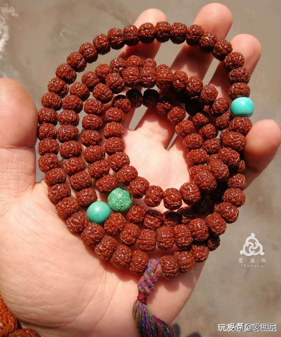 小金刚树王六瓣包浆,树王小金刚单圈包浆图