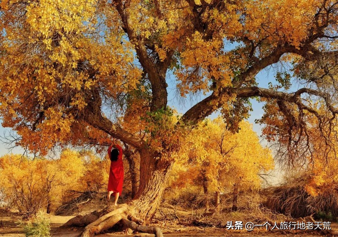 七天假旅游攻略推荐地方,拼假旅游最全攻略