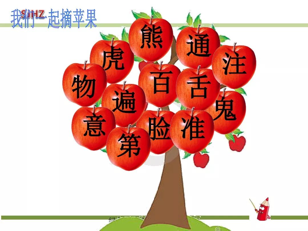 一年级下动物王国开大会知识点,一年级下册动物王国复习