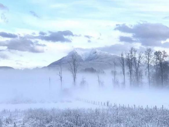 30岁中国女子买下70万平日本小岛,中国30岁女子买下70万平岛屿