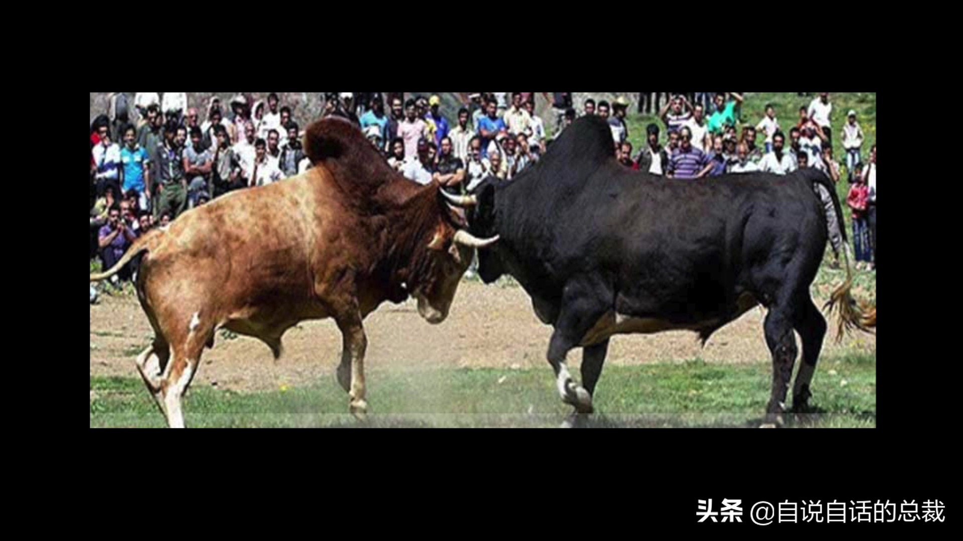 阿努纳奇创造人类7次文明,阿努纳奇人类起源