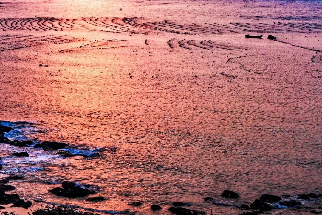 三亚和厦门哪个更值得去玩,三亚和厦门哪个更值得去游玩