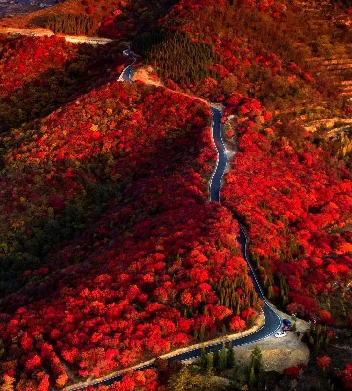 打造地方特色文旅项目,重磅打造的文旅项目