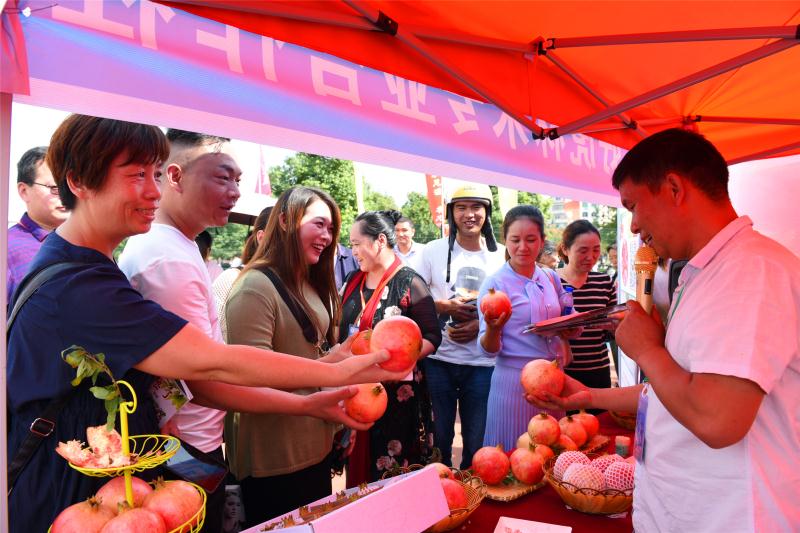 淅川:“黄金水库”释放“黄金效益”