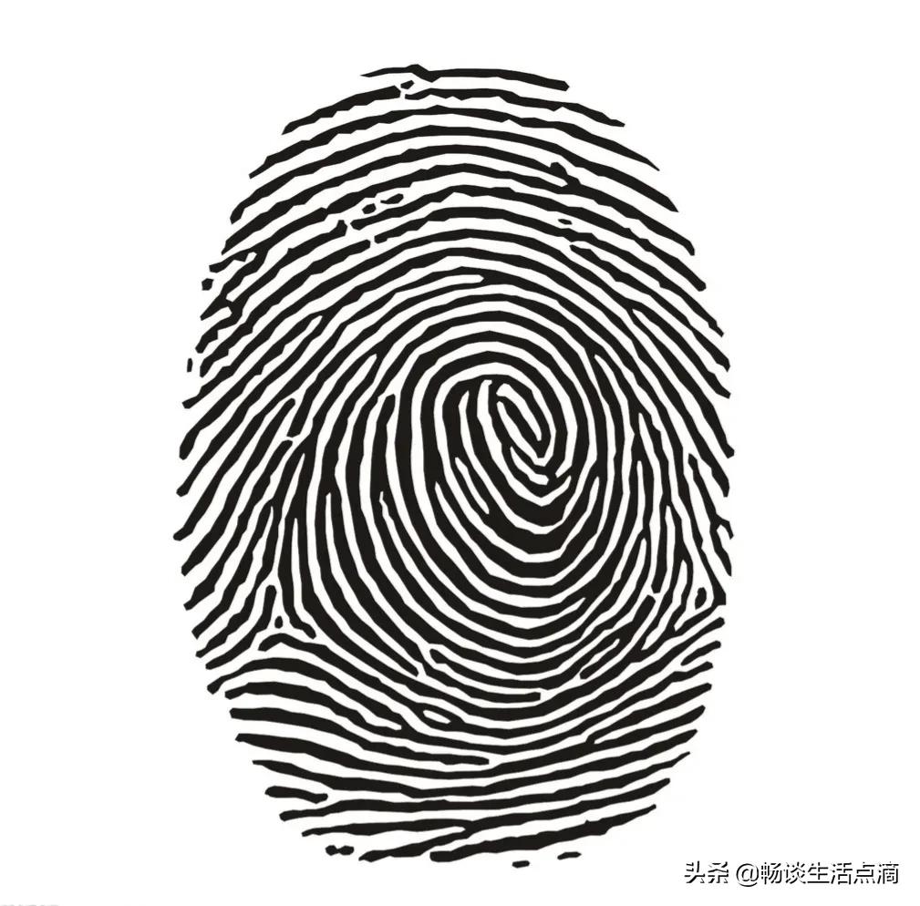 一螺穷二螺富顺口溜完整版,一螺穷二螺富三螺四螺什么意思