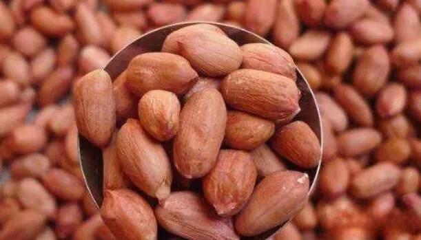 发霉的花生有毒吗,发霉花生真的一克就能致癌吗