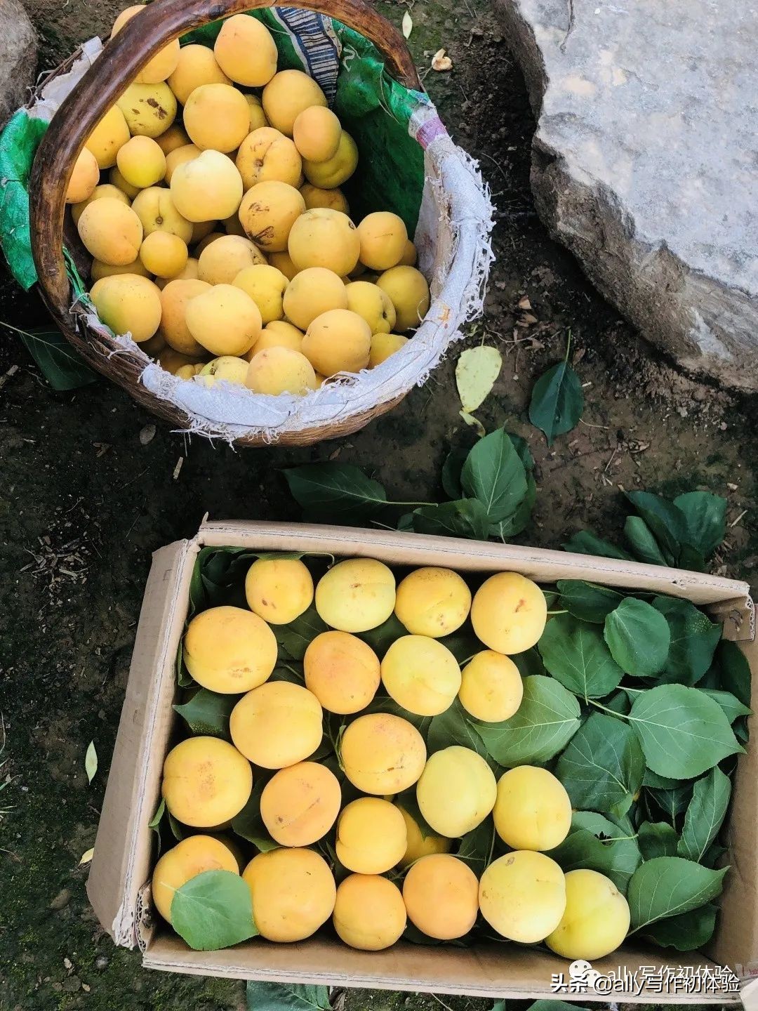 好物知时节的橱窗,好物知时节长春