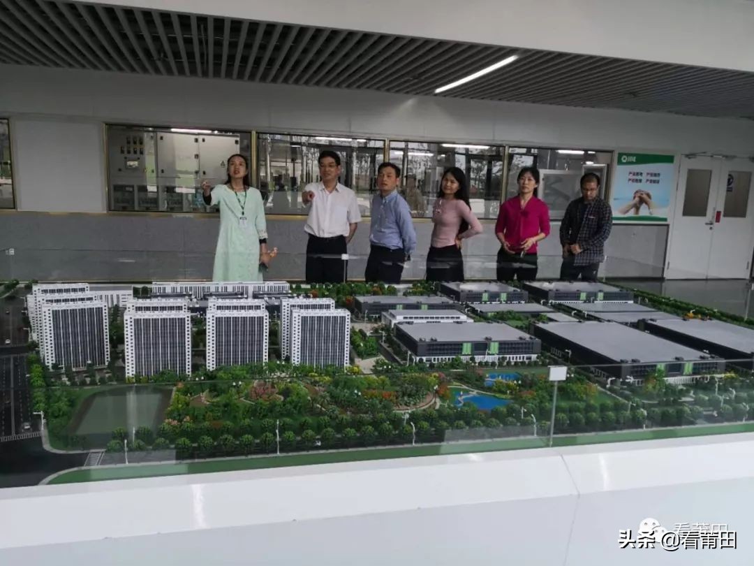 莆田上市企业,莆田系企业上市公司