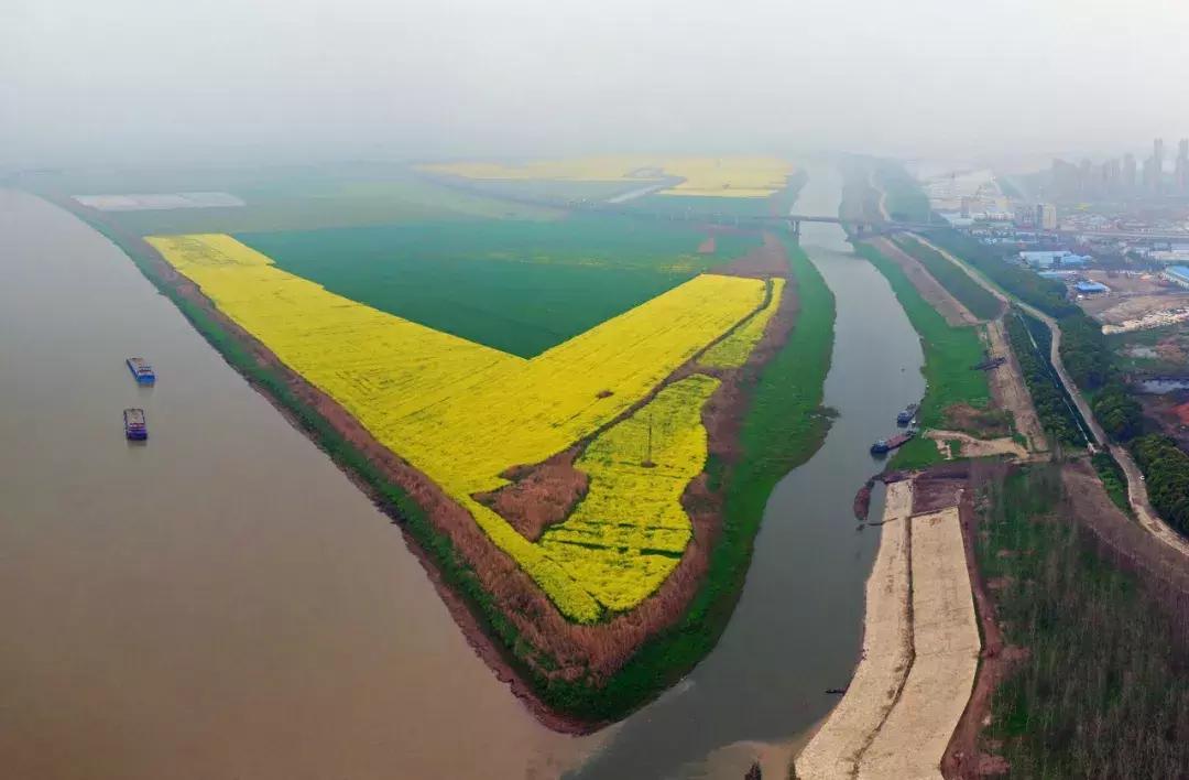 武汉经济第一镇,武汉市经济第一区