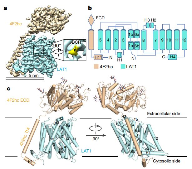 施一公与徒弟颜宁,施一公徒弟颜宁