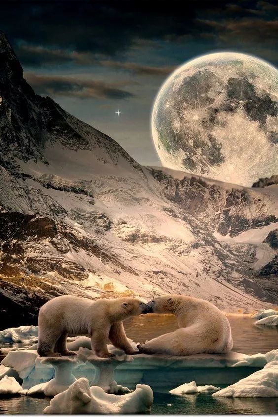 难得一见的照片,难得一见真实照片