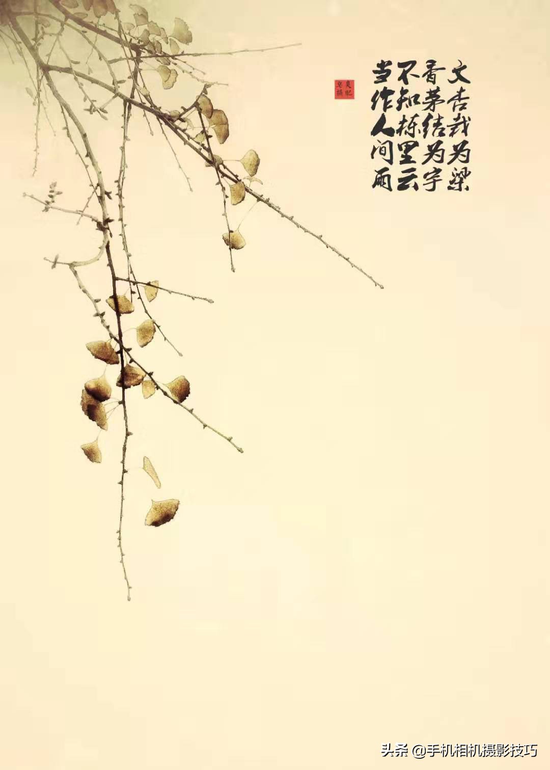 学摄影要听前人话吗,摄影小白零基础学摄影图片