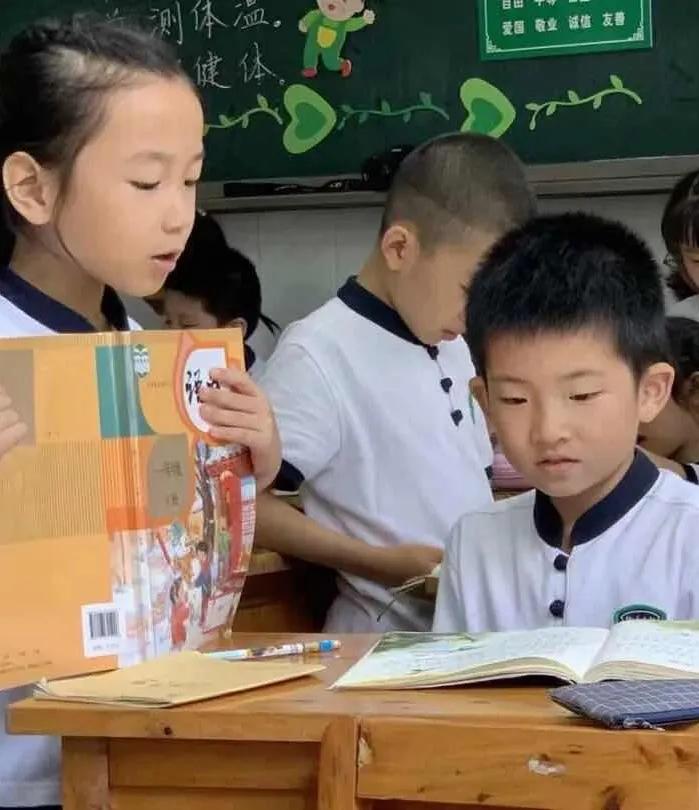 重庆沙坪坝树人小学对口划片,2023年重庆树人小学本部划片