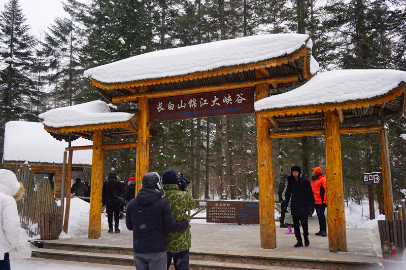 冬季旅游好去处排行榜不看雪,林海雪原旅游景区
