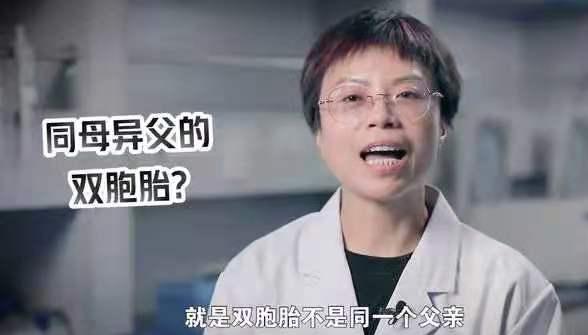 双胞胎长得像的悲剧,双胞胎长得不像老公亲子鉴定