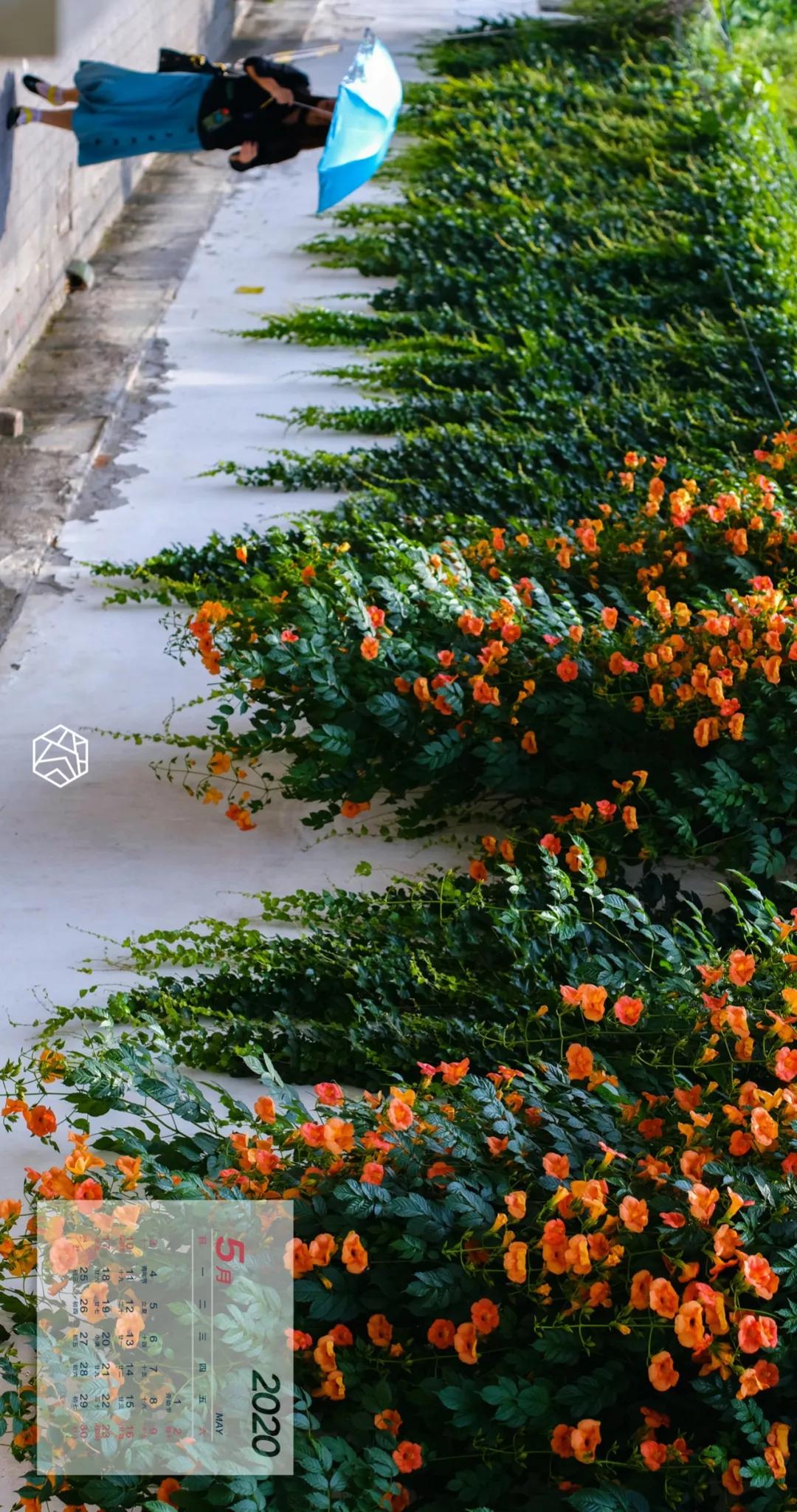 新年横屏壁纸2023超高清壁纸,苏州壁纸横屏