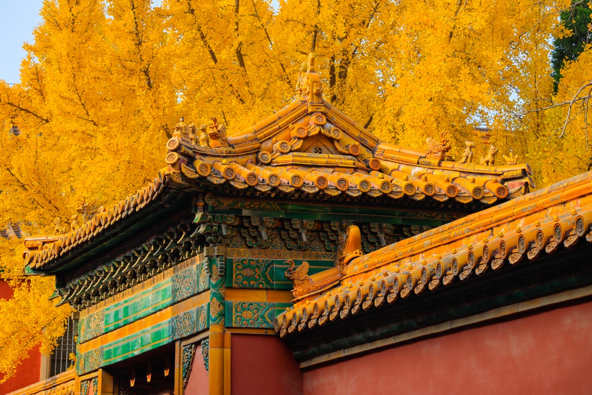 浣宠兘rf400mmf2.8璇勬祴,浣宠兘rf-s24-105mm娴嬭瘎