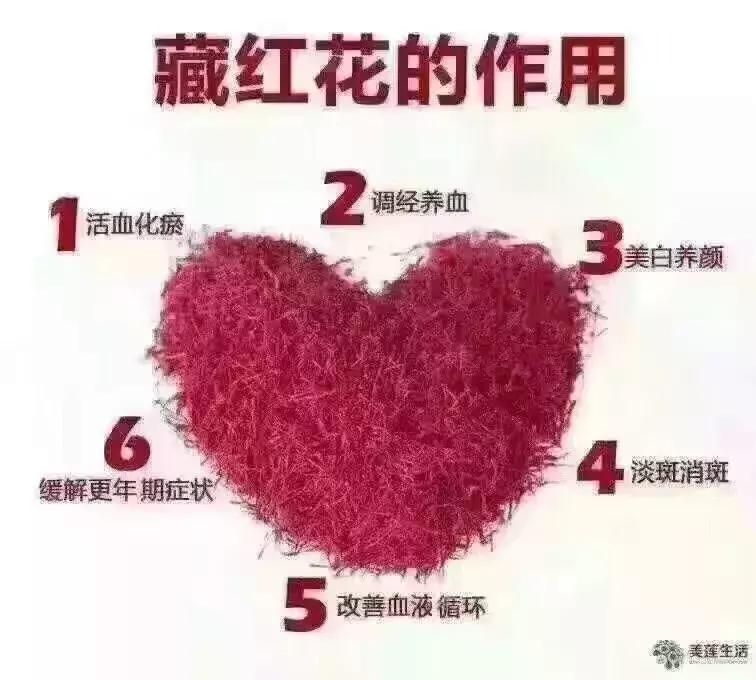 环球旅行我学会了什么,环球旅行一年