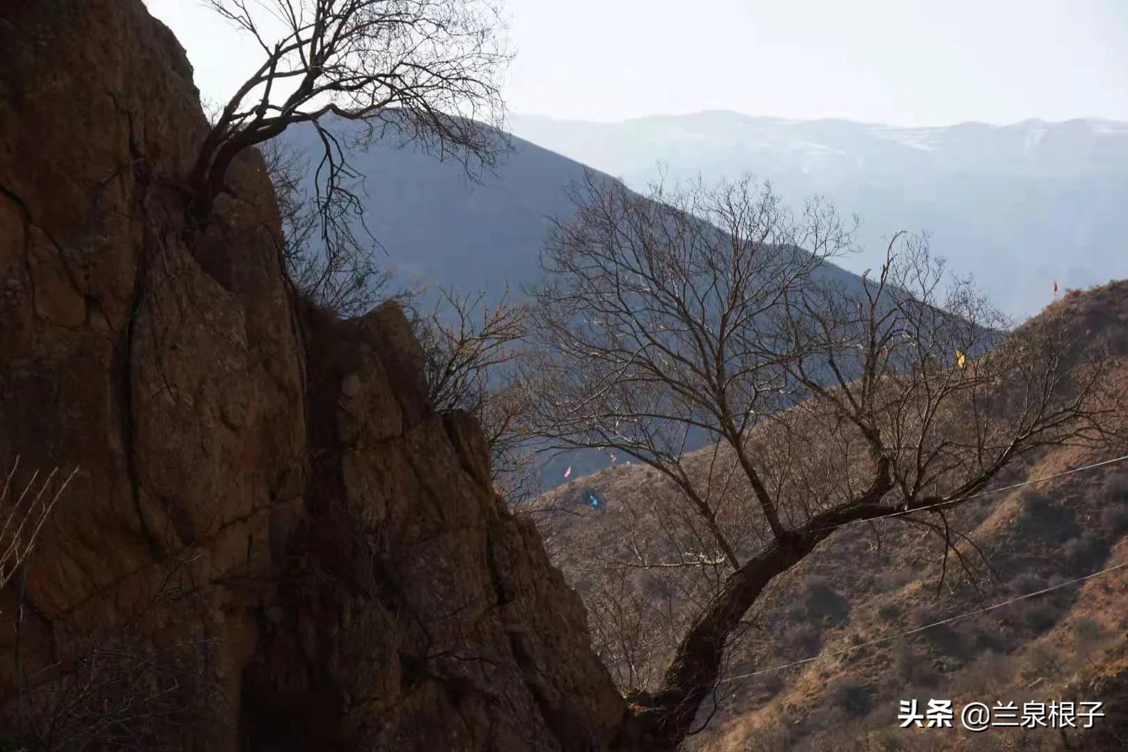 甘肃永靖金花娘娘,永靖金花娘娘的传说