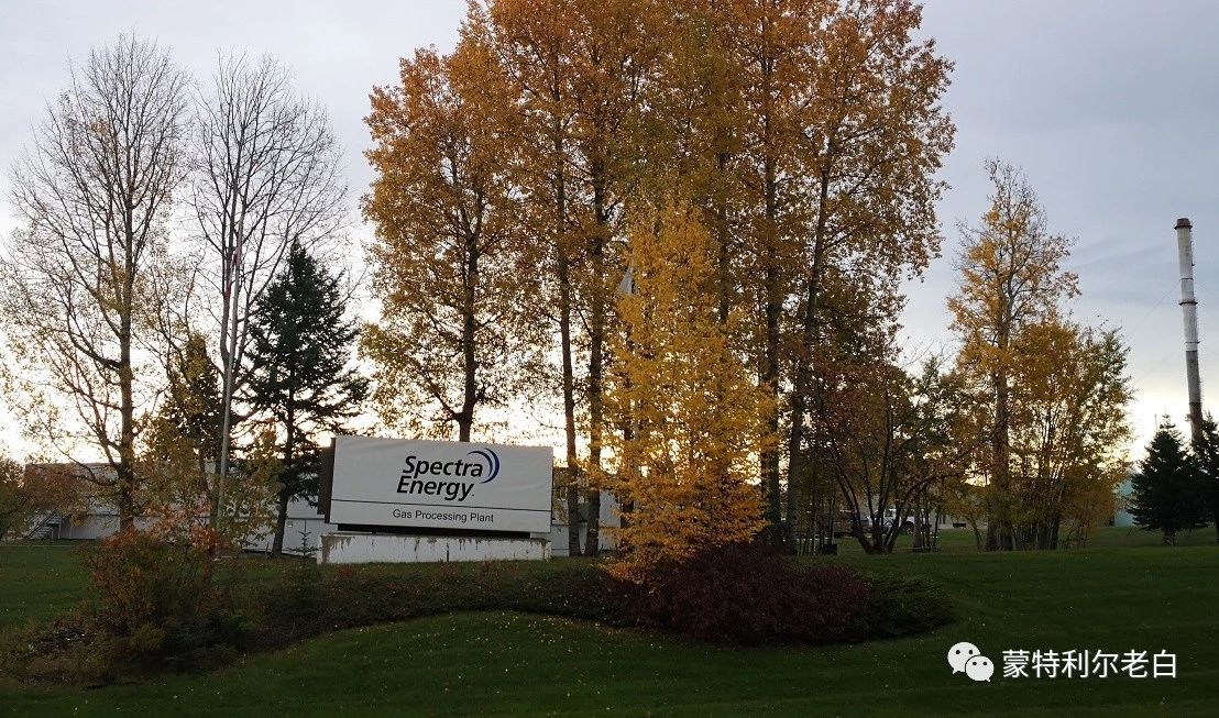 跟着老白行走加拿大，育空Watson Lake、BC省Northern Rockies