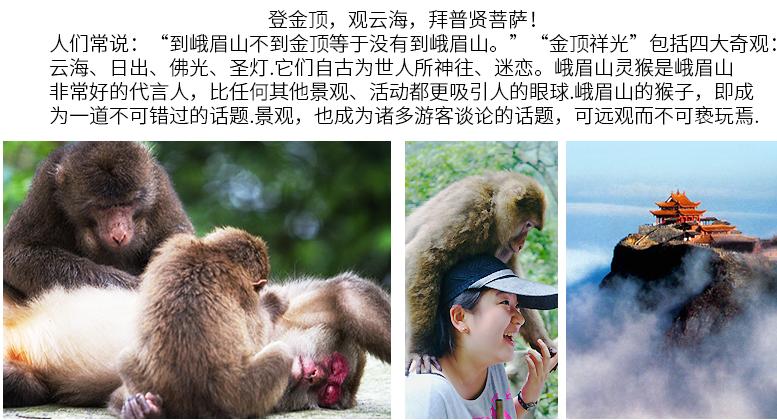 成都出发峨眉山乐山两日游价格,洛阳到峨眉山攻略