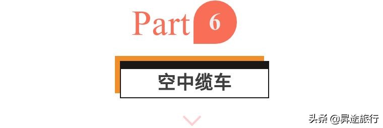 广州长隆野生动物园动物世界攻略,广州长隆野生动物园巡游8月13日